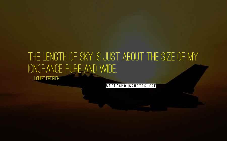 Louise Erdrich Quotes: The length of sky is just about the size of my ignorance. Pure and wide.