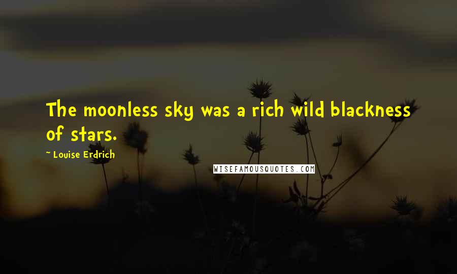 Louise Erdrich Quotes: The moonless sky was a rich wild blackness of stars.