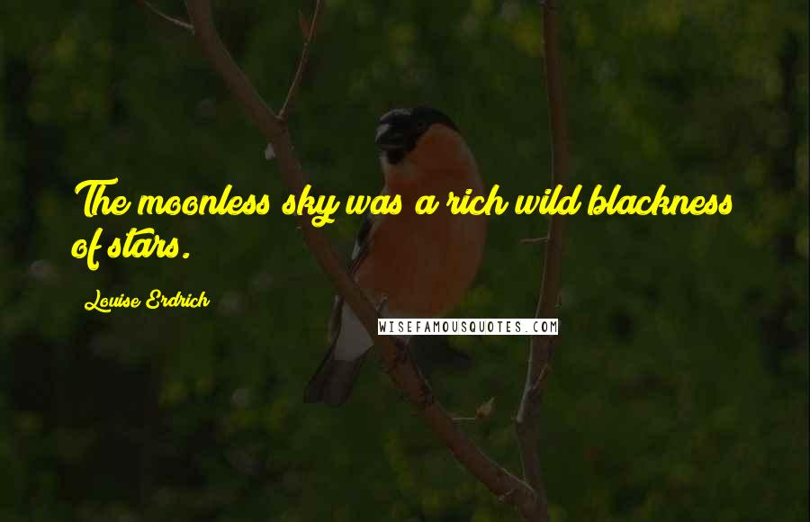 Louise Erdrich Quotes: The moonless sky was a rich wild blackness of stars.