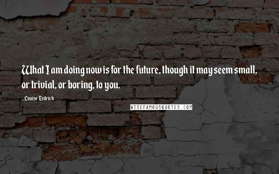 Louise Erdrich Quotes: What I am doing now is for the future, though it may seem small, or trivial, or boring, to you.