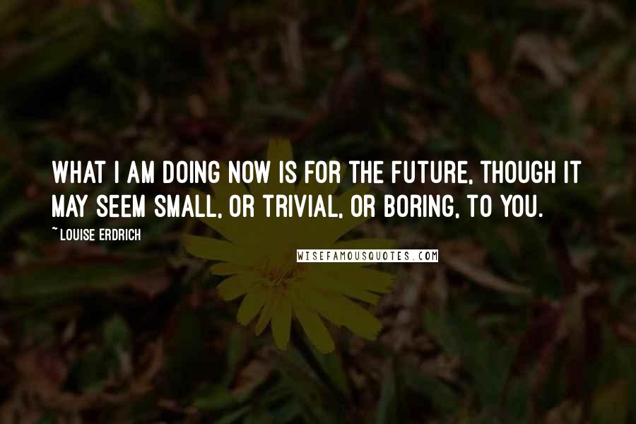 Louise Erdrich Quotes: What I am doing now is for the future, though it may seem small, or trivial, or boring, to you.