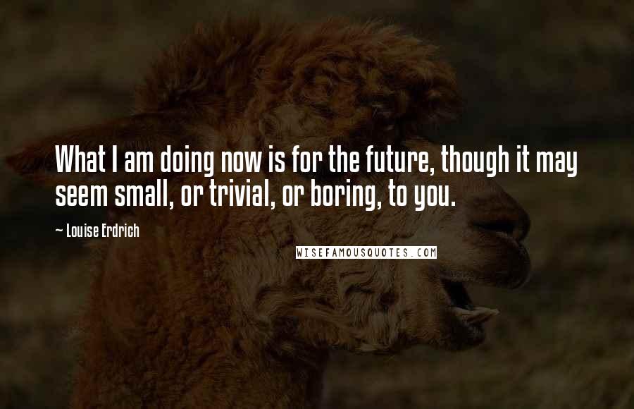 Louise Erdrich Quotes: What I am doing now is for the future, though it may seem small, or trivial, or boring, to you.