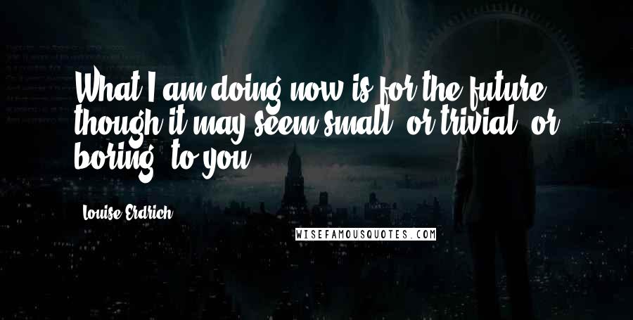 Louise Erdrich Quotes: What I am doing now is for the future, though it may seem small, or trivial, or boring, to you.