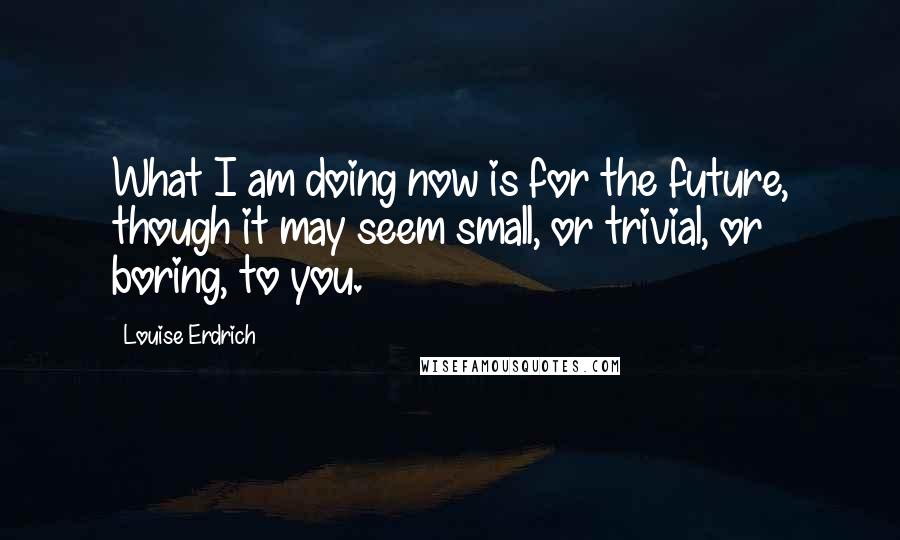 Louise Erdrich Quotes: What I am doing now is for the future, though it may seem small, or trivial, or boring, to you.