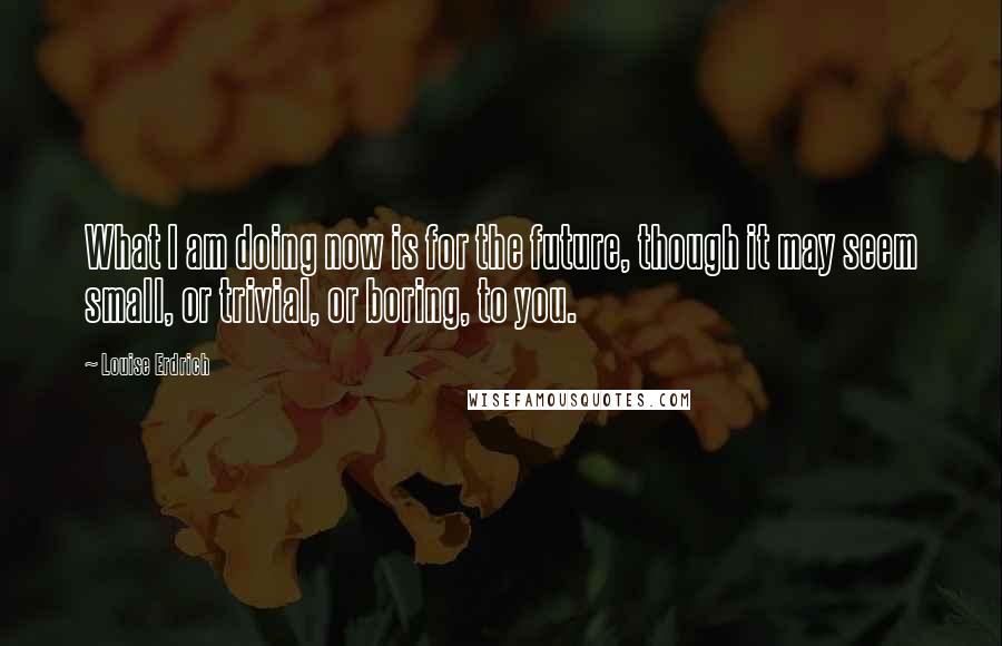 Louise Erdrich Quotes: What I am doing now is for the future, though it may seem small, or trivial, or boring, to you.