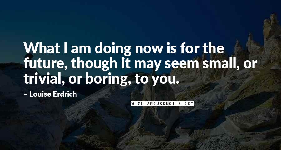 Louise Erdrich Quotes: What I am doing now is for the future, though it may seem small, or trivial, or boring, to you.