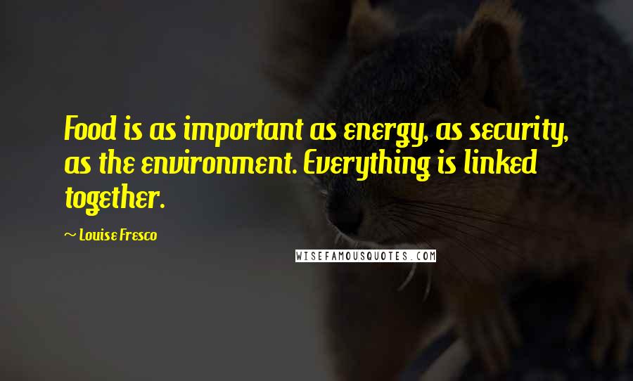 Louise Fresco Quotes: Food is as important as energy, as security, as the environment. Everything is linked together.