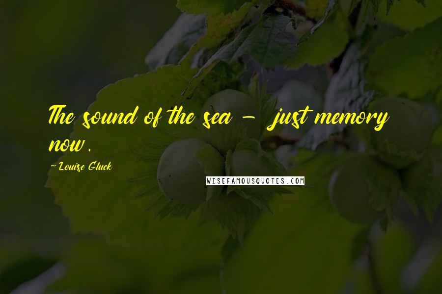 Louise Gluck Quotes: The sound of the sea -  just memory now.