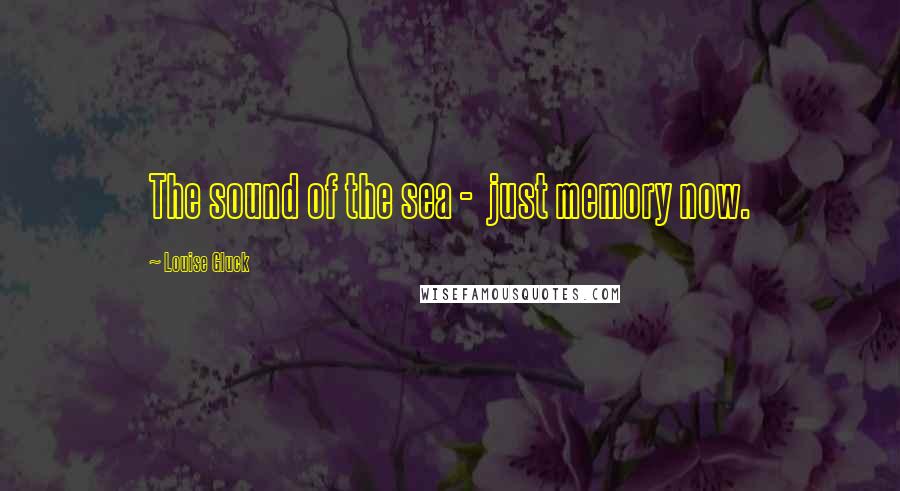 Louise Gluck Quotes: The sound of the sea -  just memory now.