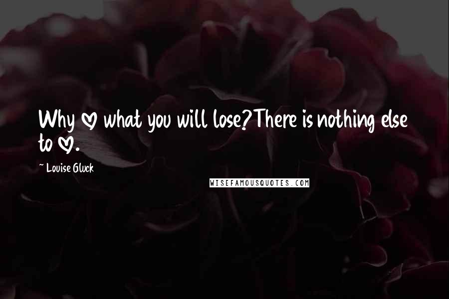 Louise Gluck Quotes: Why love what you will lose?There is nothing else to love.