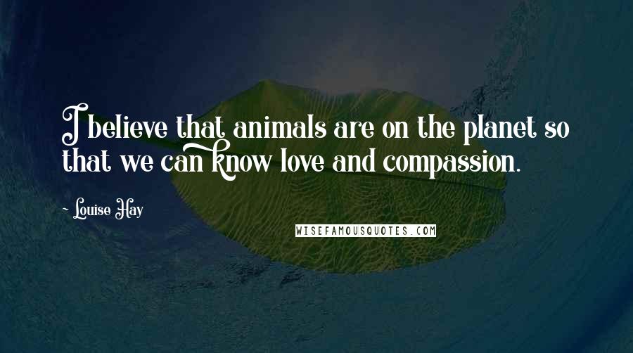 Louise Hay Quotes: I believe that animals are on the planet so that we can know love and compassion.