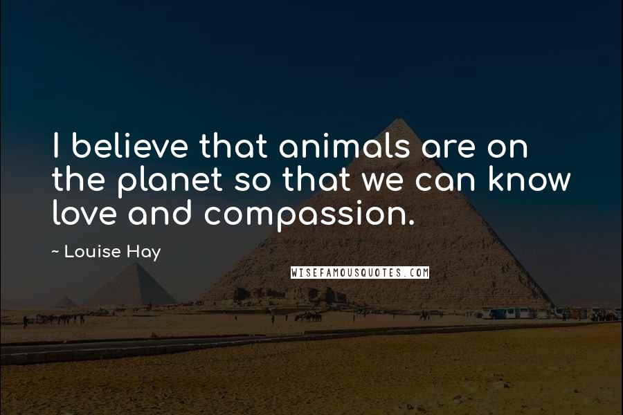 Louise Hay Quotes: I believe that animals are on the planet so that we can know love and compassion.