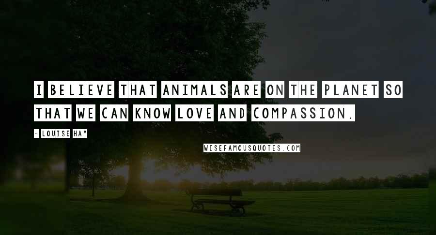 Louise Hay Quotes: I believe that animals are on the planet so that we can know love and compassion.