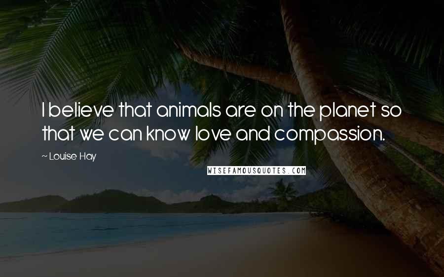 Louise Hay Quotes: I believe that animals are on the planet so that we can know love and compassion.