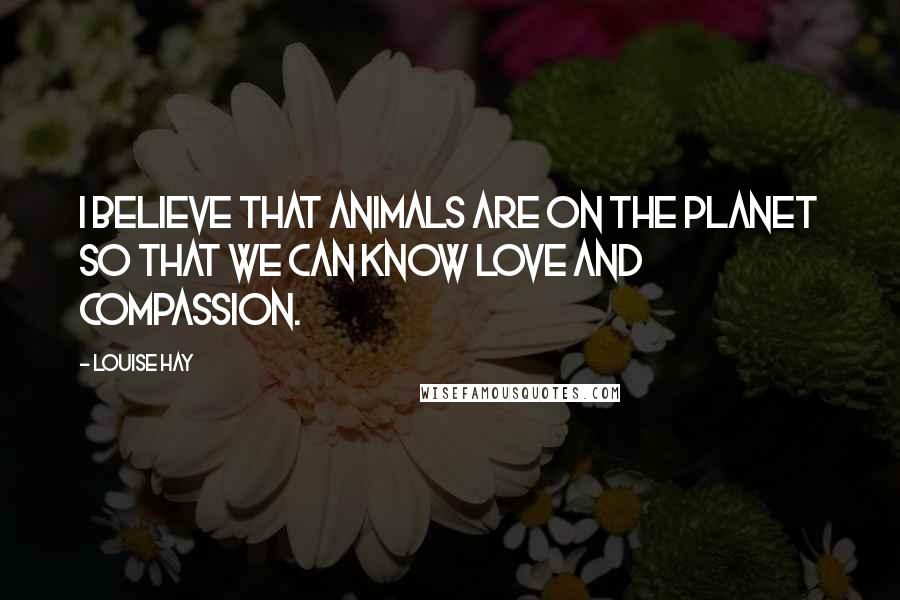 Louise Hay Quotes: I believe that animals are on the planet so that we can know love and compassion.