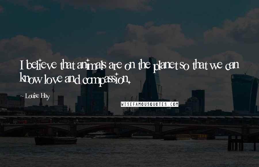 Louise Hay Quotes: I believe that animals are on the planet so that we can know love and compassion.