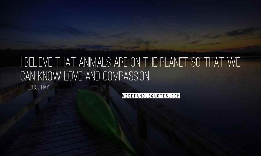 Louise Hay Quotes: I believe that animals are on the planet so that we can know love and compassion.