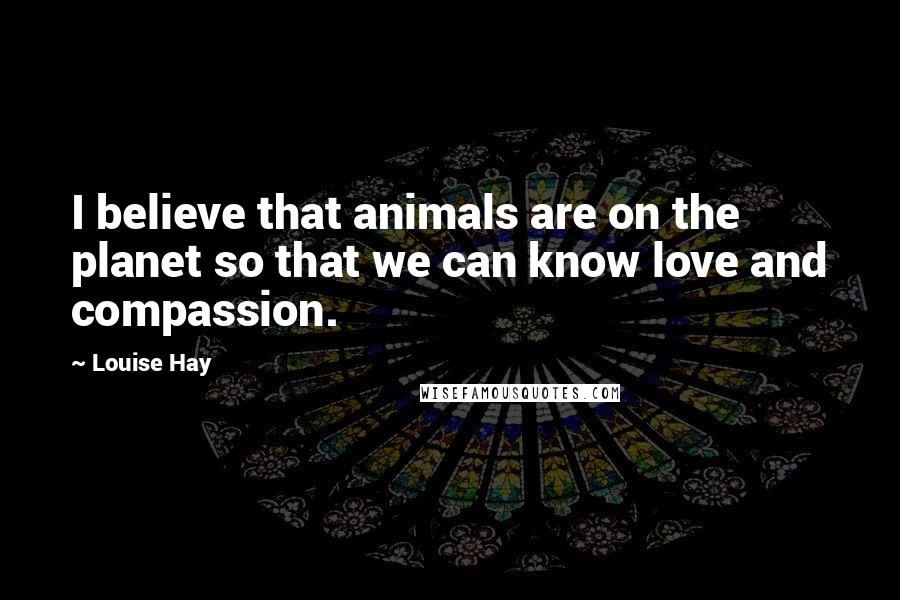 Louise Hay Quotes: I believe that animals are on the planet so that we can know love and compassion.