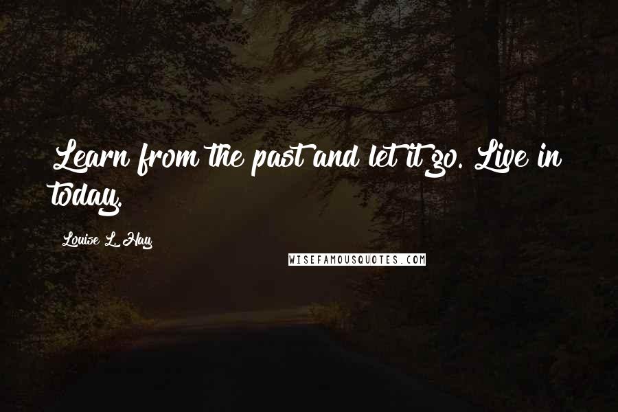 Louise L. Hay Quotes: Learn from the past and let it go. Live in today.