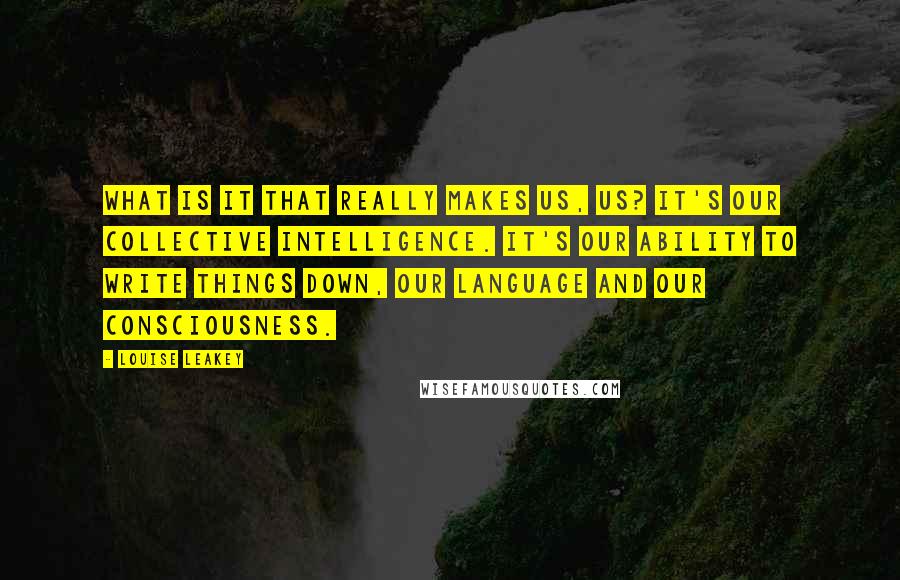 Louise Leakey Quotes: What is it that really makes us, us? It's our collective intelligence. It's our ability to write things down, our language and our consciousness.