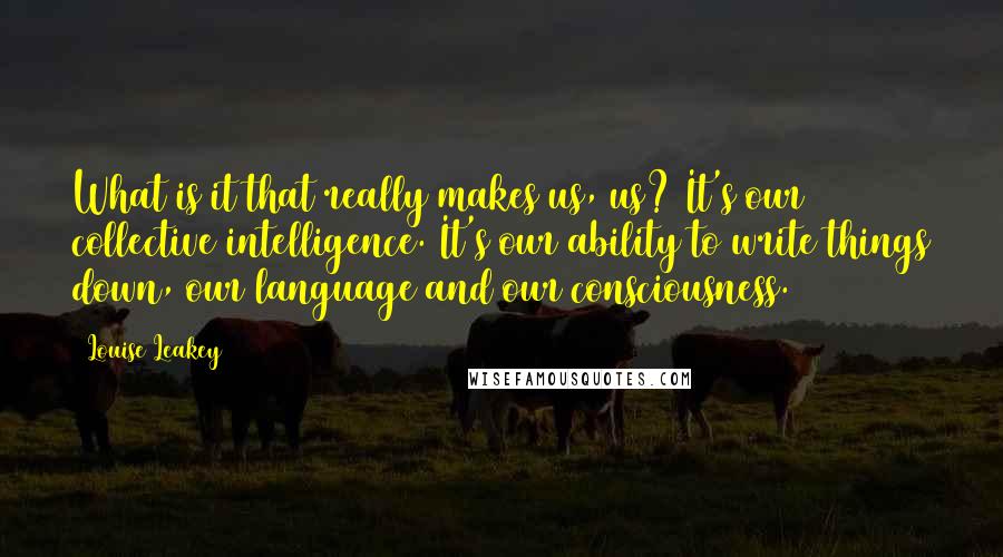 Louise Leakey Quotes: What is it that really makes us, us? It's our collective intelligence. It's our ability to write things down, our language and our consciousness.