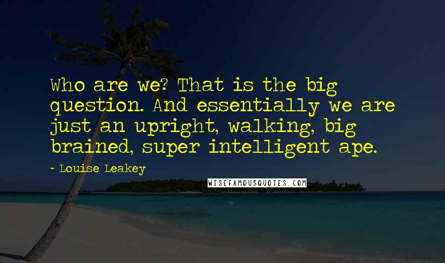 Louise Leakey Quotes: Who are we? That is the big question. And essentially we are just an upright, walking, big brained, super intelligent ape.