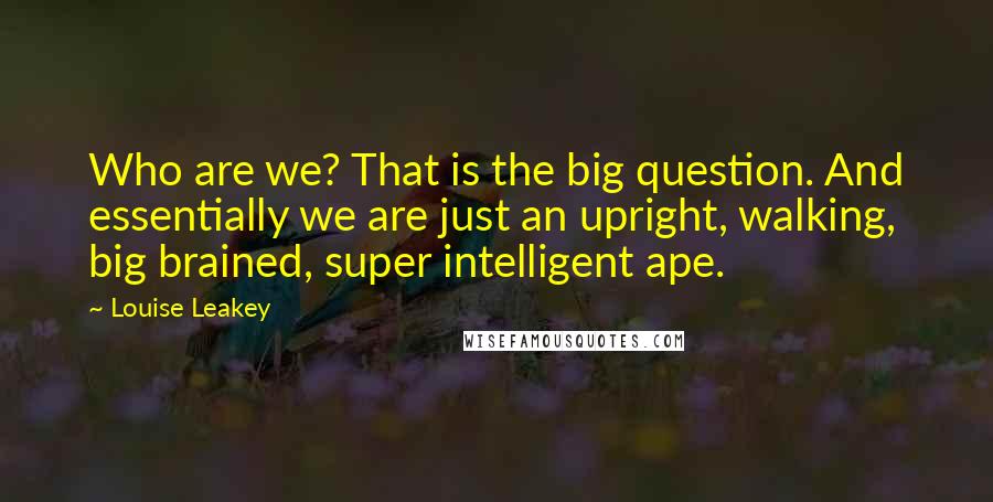 Louise Leakey Quotes: Who are we? That is the big question. And essentially we are just an upright, walking, big brained, super intelligent ape.