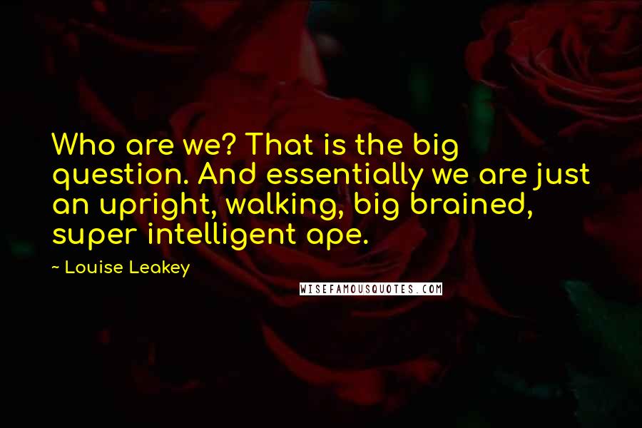 Louise Leakey Quotes: Who are we? That is the big question. And essentially we are just an upright, walking, big brained, super intelligent ape.