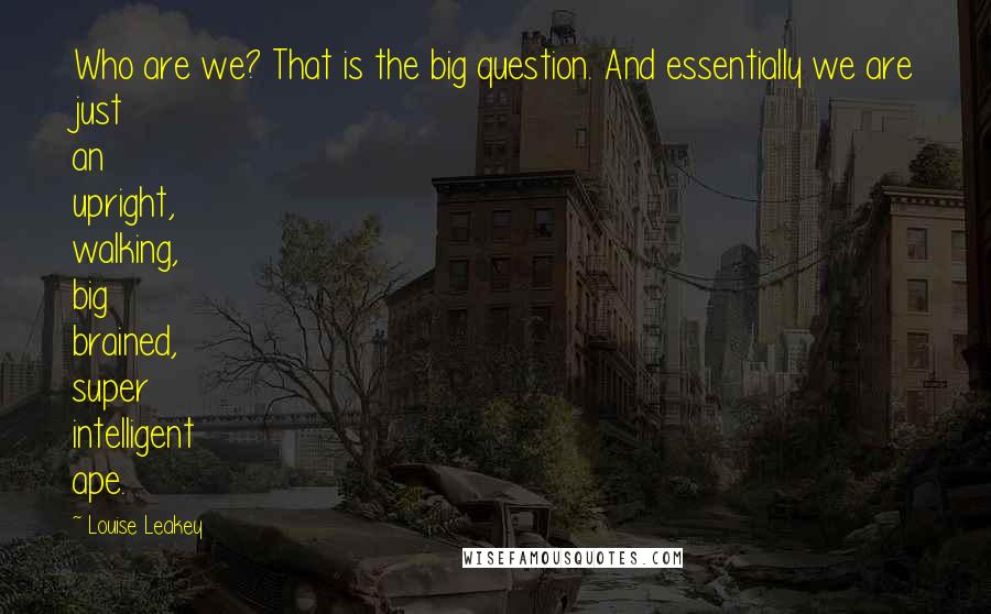 Louise Leakey Quotes: Who are we? That is the big question. And essentially we are just an upright, walking, big brained, super intelligent ape.