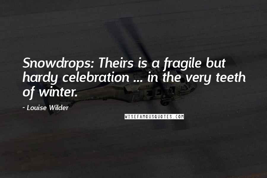 Louise Wilder Quotes: Snowdrops: Theirs is a fragile but hardy celebration ... in the very teeth of winter.