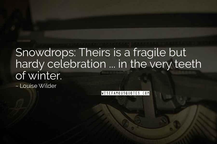 Louise Wilder Quotes: Snowdrops: Theirs is a fragile but hardy celebration ... in the very teeth of winter.