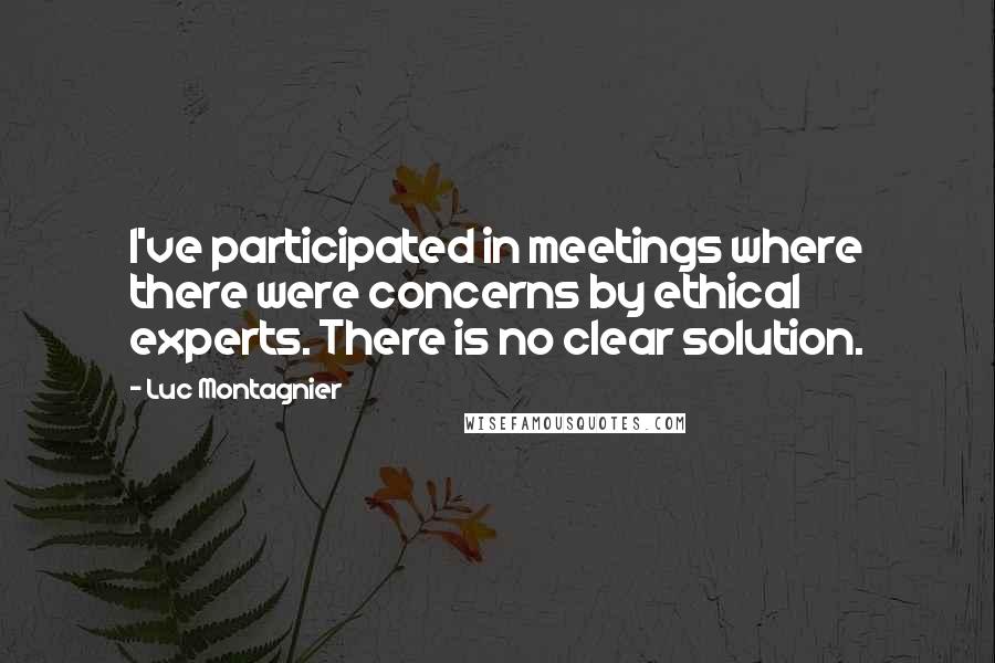 Luc Montagnier Quotes: I've participated in meetings where there were concerns by ethical experts. There is no clear solution.