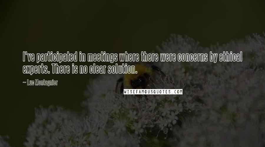 Luc Montagnier Quotes: I've participated in meetings where there were concerns by ethical experts. There is no clear solution.