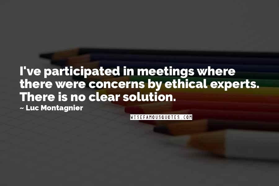 Luc Montagnier Quotes: I've participated in meetings where there were concerns by ethical experts. There is no clear solution.