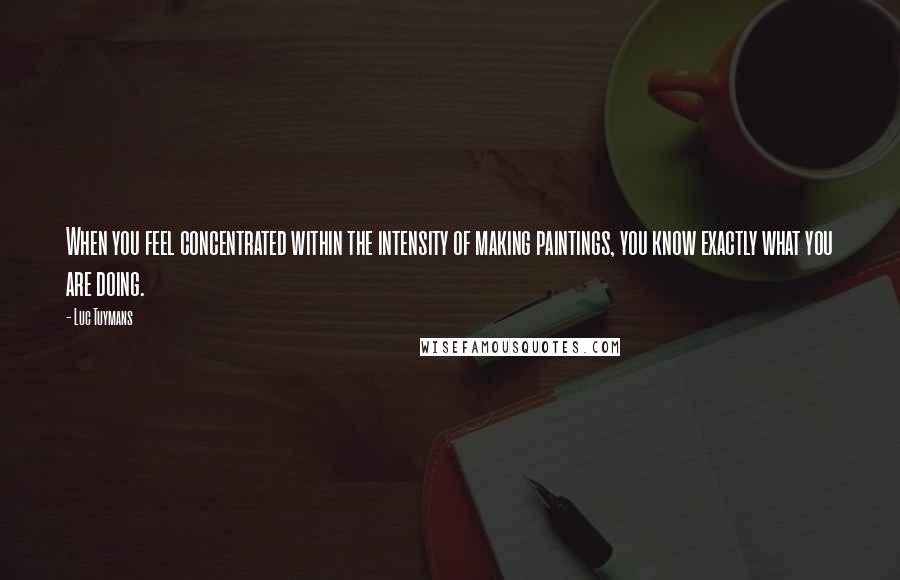 Luc Tuymans Quotes: When you feel concentrated within the intensity of making paintings, you know exactly what you are doing.