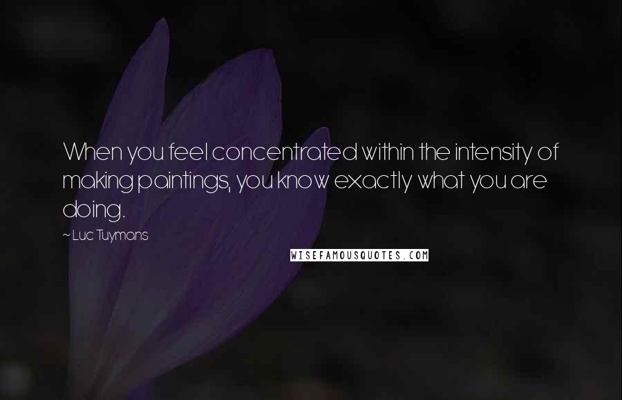 Luc Tuymans Quotes: When you feel concentrated within the intensity of making paintings, you know exactly what you are doing.