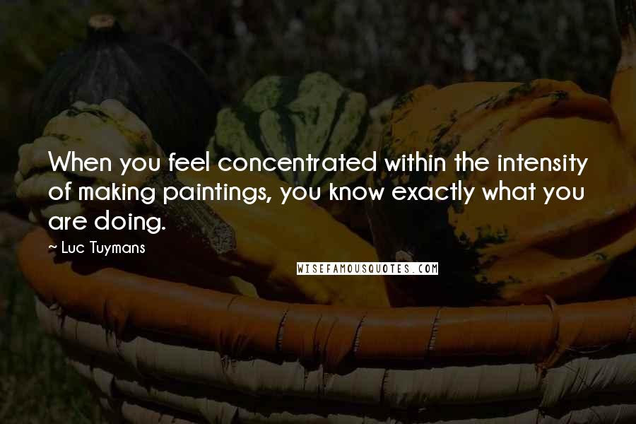 Luc Tuymans Quotes: When you feel concentrated within the intensity of making paintings, you know exactly what you are doing.