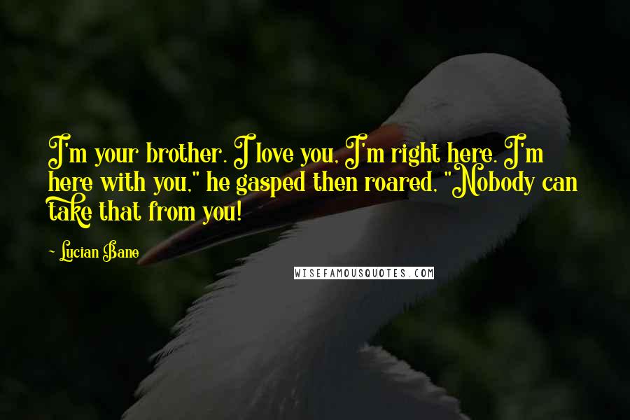Lucian Bane Quotes: I'm your brother. I love you, I'm right here. I'm here with you," he gasped then roared, "Nobody can take that from you!