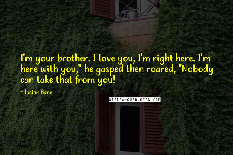 Lucian Bane Quotes: I'm your brother. I love you, I'm right here. I'm here with you," he gasped then roared, "Nobody can take that from you!