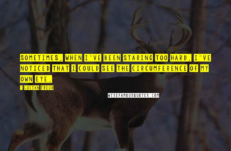 Lucian Freud Quotes: Sometimes, when I've been staring too hard, I've noticed that I could see the circumference of my own eye.