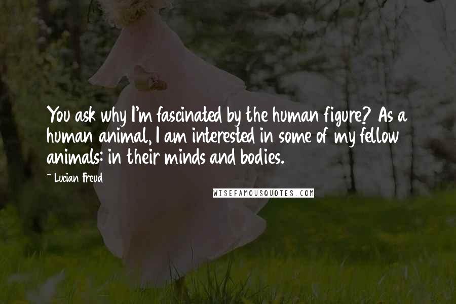 Lucian Freud Quotes: You ask why I'm fascinated by the human figure? As a human animal, I am interested in some of my fellow animals: in their minds and bodies.