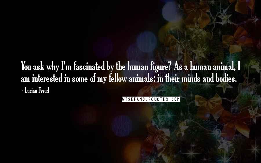 Lucian Freud Quotes: You ask why I'm fascinated by the human figure? As a human animal, I am interested in some of my fellow animals: in their minds and bodies.