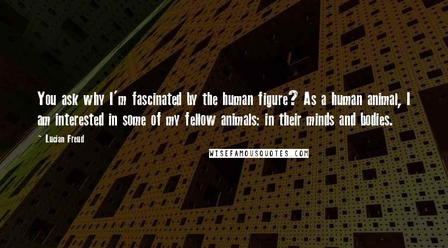 Lucian Freud Quotes: You ask why I'm fascinated by the human figure? As a human animal, I am interested in some of my fellow animals: in their minds and bodies.