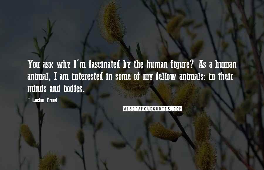 Lucian Freud Quotes: You ask why I'm fascinated by the human figure? As a human animal, I am interested in some of my fellow animals: in their minds and bodies.