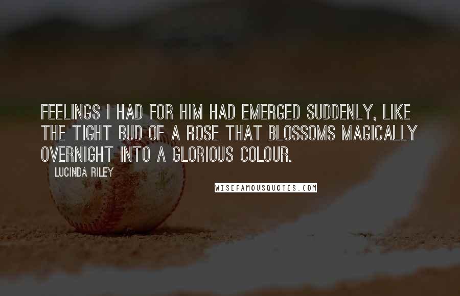 Lucinda Riley Quotes: Feelings I had for him had emerged suddenly, like the tight bud of a rose that blossoms magically overnight into a glorious colour.