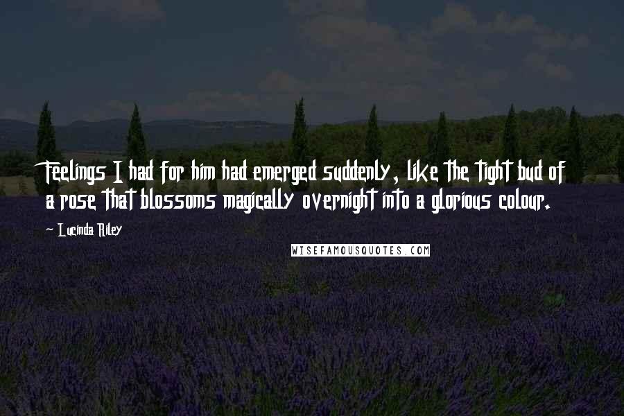 Lucinda Riley Quotes: Feelings I had for him had emerged suddenly, like the tight bud of a rose that blossoms magically overnight into a glorious colour.