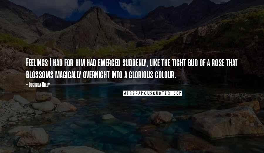 Lucinda Riley Quotes: Feelings I had for him had emerged suddenly, like the tight bud of a rose that blossoms magically overnight into a glorious colour.