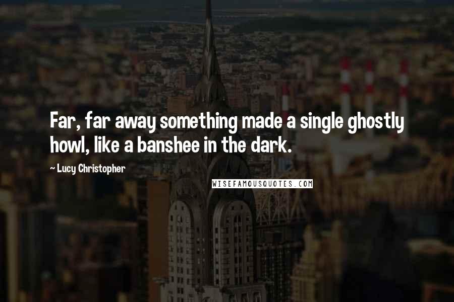 Lucy Christopher Quotes: Far, far away something made a single ghostly howl, like a banshee in the dark.