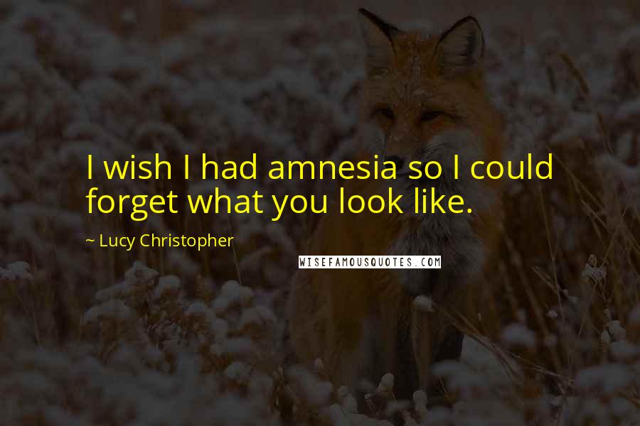 Lucy Christopher Quotes: I wish I had amnesia so I could forget what you look like.