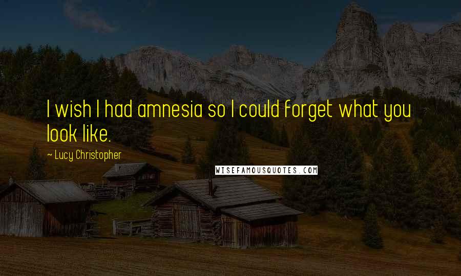 Lucy Christopher Quotes: I wish I had amnesia so I could forget what you look like.